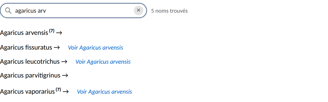 Recherche avec la loupe